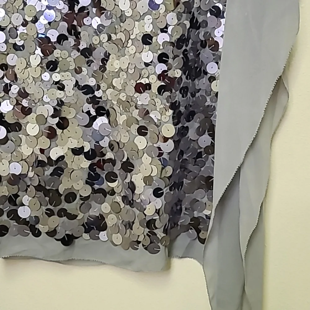 $228 BCBG Silver Sequin Chiffon Batwing Top